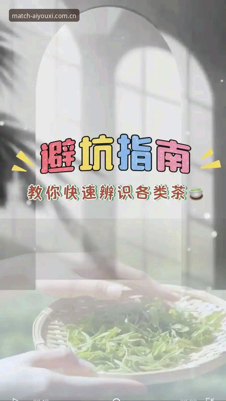 爱游戏体育平台登录实用技巧：从新手到达人的必备知识